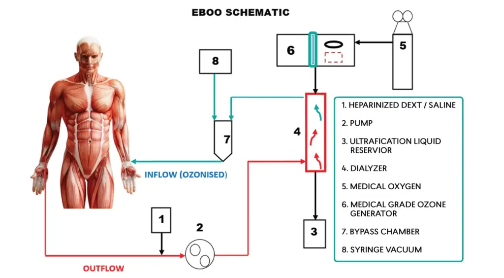 eboo-therapy-Pensacola